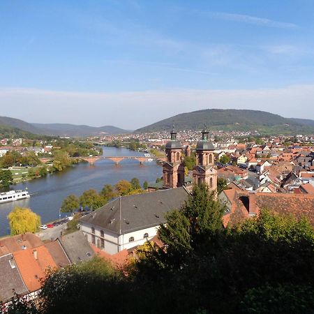 Villa Geisenhof Miltenberg Bagian luar foto