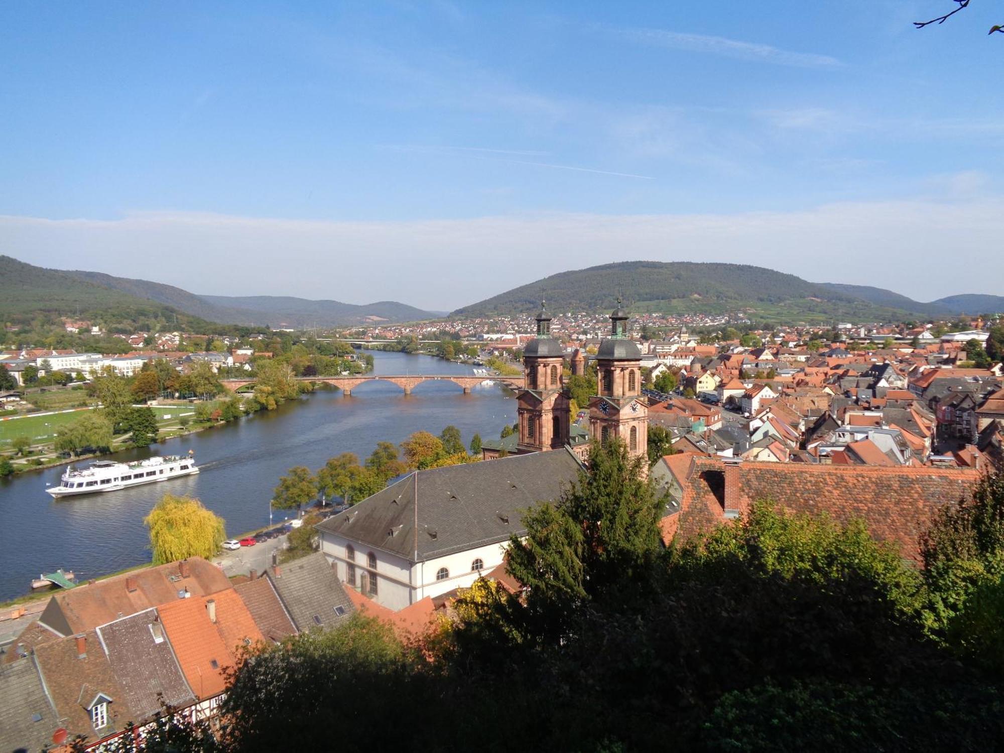 Villa Geisenhof Miltenberg Bagian luar foto
